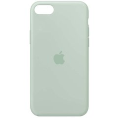 Чехол Silicone Case Full Protective (AA) для Apple iPhone SE (2020) (Бирюзовый / Beryl)