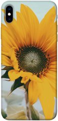 Чохол для Apple iPhone XS Max (6.5 "") PandaPrint Соняшник квіти