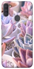 Чехол для Samsung Galaxy A11 PandaPrint Эхеверия 2 цветы