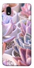 Чехол для Samsung Galaxy M01 Core / A01 Core PandaPrint Эхеверия 2 цветы