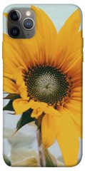 Чохол для Apple iPhone 12 Pro (6.1 "") PandaPrint Соняшник квіти