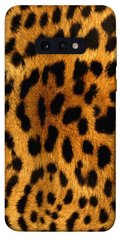 Чехол для Samsung Galaxy S10e PandaPrint Леопардовый принт животные