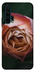 Чехол для Huawei Honor 20 Pro PandaPrint Роза остин цветы