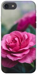 Чехол для Apple iPhone 7 / 8 (4.7"") PandaPrint Роза в саду цветы