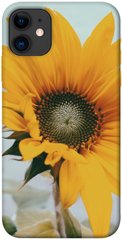 Чохол для Apple iPhone 11 (6.1 "") PandaPrint Соняшник квіти