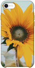 Чохол для Apple iPhone SE (2020) PandaPrint Соняшник квіти