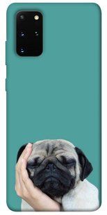 Чохол для Samsung Galaxy S20 + PandaPrint Сплячий мопс тварини