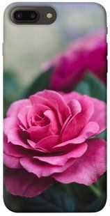 Чохол для Apple iPhone 7 plus / 8 plus (5.5 "") PandaPrint Роза в саду квіти