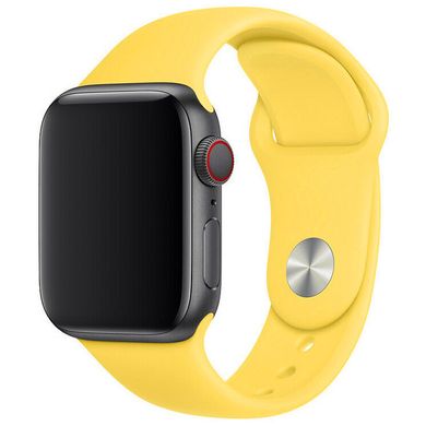 Силиконовый ремешок для Apple watch 42mm / 44mm (Желтый / Canary Yellow)