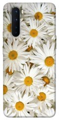 Чехол для OnePlus Nord PandaPrint Ромашки цветы