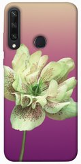 Чехол для Huawei Y6p PandaPrint Розовый пурпур цветы