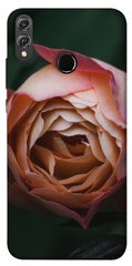 Чехол для Huawei Honor 8X PandaPrint Роза остин цветы
