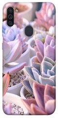 Чохол для Samsung Galaxy M11 PandaPrint Ехеверія 2 квіти