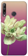 Чехол для Huawei P40 Lite E / Y7p (2020) PandaPrint Розовый пурпур цветы