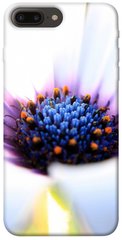 Чехол для Apple iPhone 7 plus / 8 plus (5.5"") PandaPrint Полевой цветок цветы