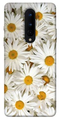 Чохол для OnePlus 8 PandaPrint Ромашки квіти
