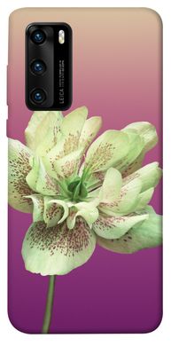 Чехол для Huawei P40 PandaPrint Розовый пурпур цветы