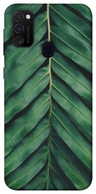 Чохол для Samsung Galaxy M30s / M21 PandaPrint Пальмовий лист квіти