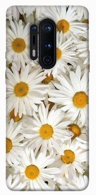Чохол для OnePlus 8 Pro PandaPrint Ромашки квіти