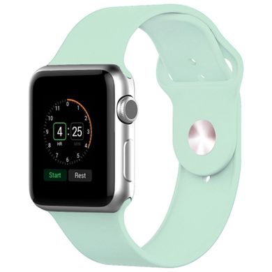 Силиконовый ремешок для Apple watch 42mm / 44mm (Бирюзовый / Turquoise)