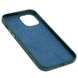 Шкіряний чохол Croco Leather для Apple iPhone 12 Pro Max (6.7") Green