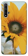 Чохол для Huawei Honor 20 / Nova 5T PandaPrint Соняшник квіти