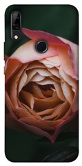 Чехол для Huawei P Smart Z PandaPrint Роза остин цветы