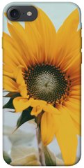 Чохол для Apple iPhone 7/8 (4.7 "") PandaPrint Соняшник квіти