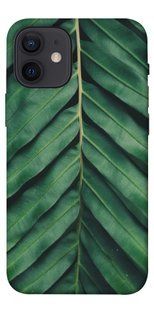 Чохол для Apple iPhone 12 mini (5.4 "") PandaPrint Пальмовий лист квіти
