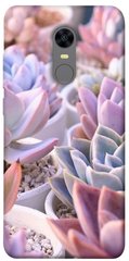 Чохол для Xiaomi Redmi 5 Plus PandaPrint Ехеверія 2 квіти