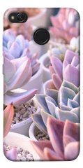 Чехол для Xiaomi Redmi 4X PandaPrint Эхеверия 2 цветы