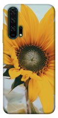 Чохол для Huawei Honor 20 Pro PandaPrint Соняшник квіти
