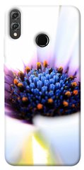 Чехол для Huawei Honor 8X PandaPrint Полевой цветок цветы