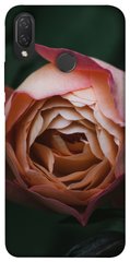 Чехол для Huawei P Smart+ 2019 PandaPrint Роза остин цветы