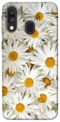 Чохол для Samsung Galaxy A40 (A405F) PandaPrint Ромашки квіти