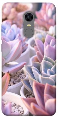 Чехол для Xiaomi Redmi 5 Plus PandaPrint Эхеверия 2 цветы