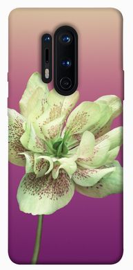 Чехол для OnePlus 8 Pro PandaPrint Розовый пурпур цветы
