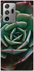 Чохол для Samsung Galaxy Note 20 Ultra PandaPrint Ехеверія квіти