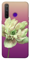 Чехол для Realme 5 Pro PandaPrint Розовый пурпур цветы