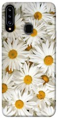 Чехол для Samsung Galaxy A20s PandaPrint Ромашки цветы