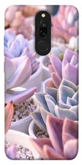 Чехол для Xiaomi Redmi 8 PandaPrint Эхеверия 2 цветы