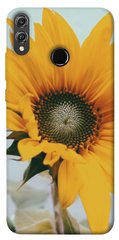 Чохол для Huawei Honor 8X PandaPrint Соняшник квіти