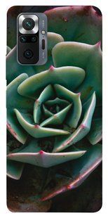 Чехол для Xiaomi Redmi Note 10 Pro Эхеверия цветы