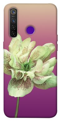 Чохол для Realme 5 Pro PandaPrint Рожевий пурпур квіти