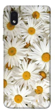Чехол для Samsung Galaxy M01 Core / A01 Core PandaPrint Ромашки цветы