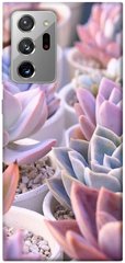Чохол для Samsung Galaxy Note 20 Ultra PandaPrint Ехеверія 2 квіти