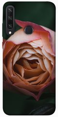 Чехол для Huawei Y6p PandaPrint Роза остин цветы