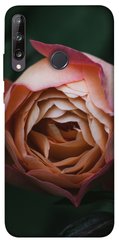 Чехол для Huawei P40 Lite E / Y7p (2020) PandaPrint Роза остин цветы