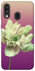 Чохол для Samsung Galaxy A40 (A405F) PandaPrint Рожевий пурпур квіти