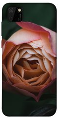 Чехол для Huawei Y5p PandaPrint Роза остин цветы